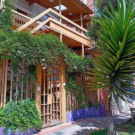 קוסקו Villa Betty B&B מראה חיצוני תמונה